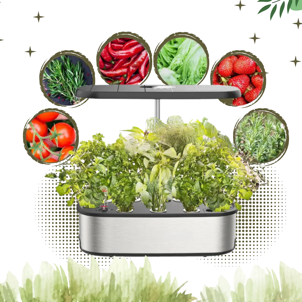 12 Plants Pods Hydroponic Garden