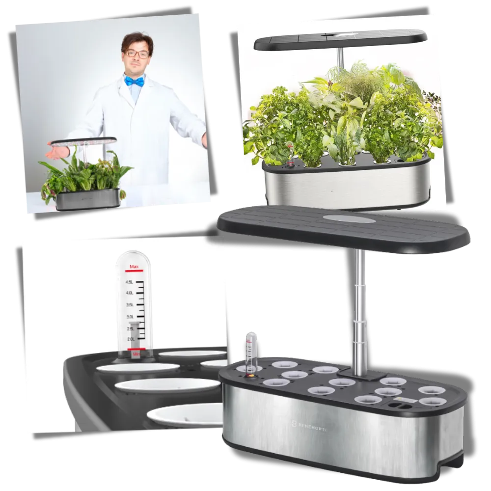 12 Plants Pods Hydroponic Garden