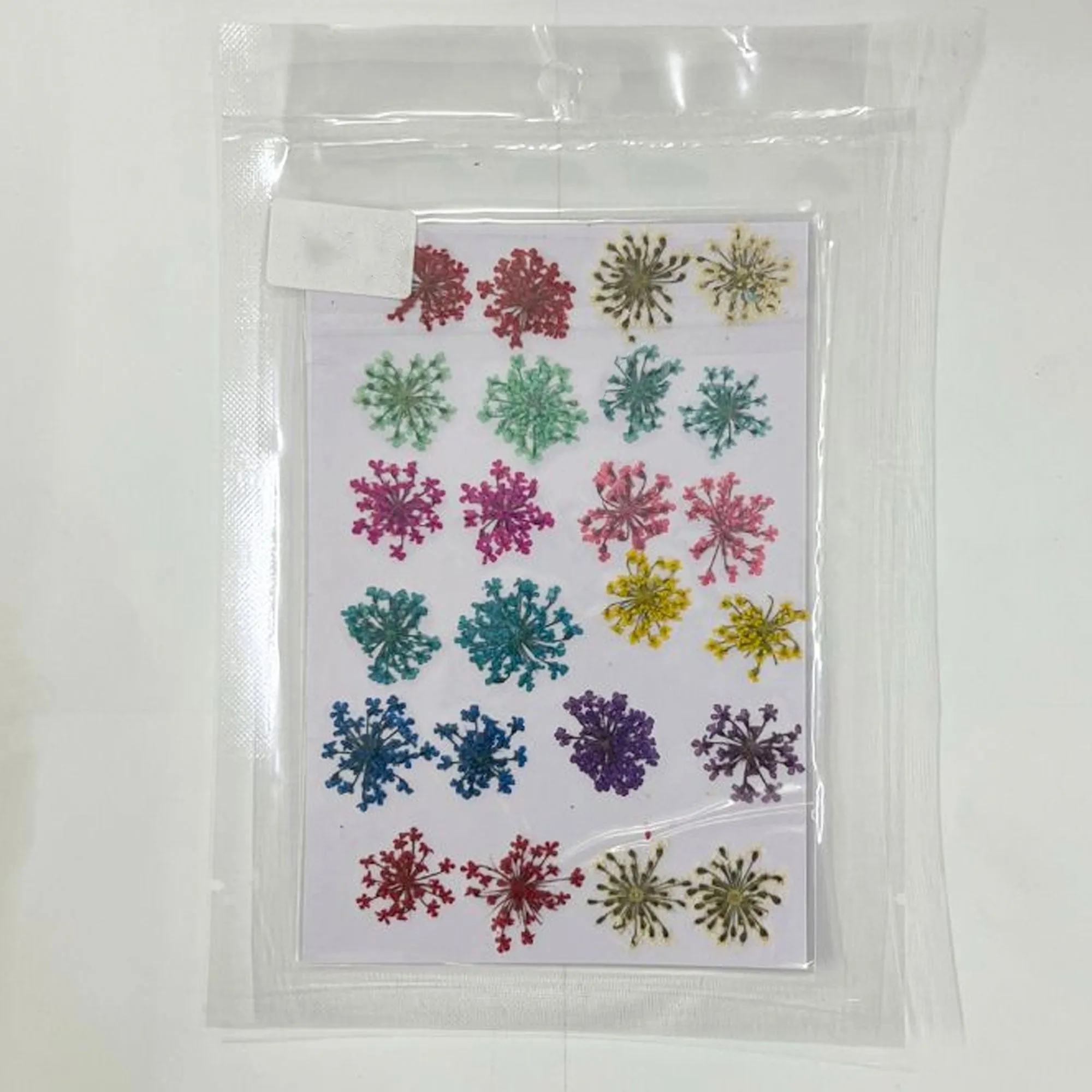 24 in 1 Multi Pressed Flower Sheet