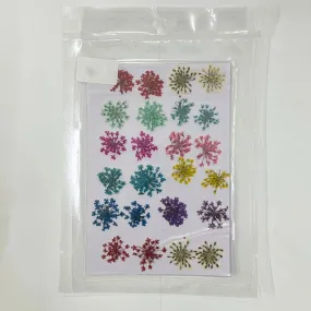 24 in 1 Multi Pressed Flower Sheet