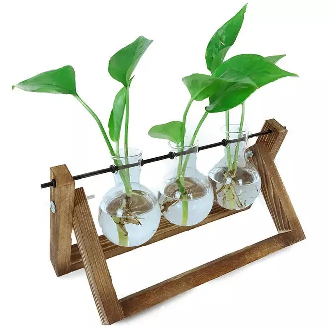 Alchemy 3 Glass Bulb Hydroponic Planter