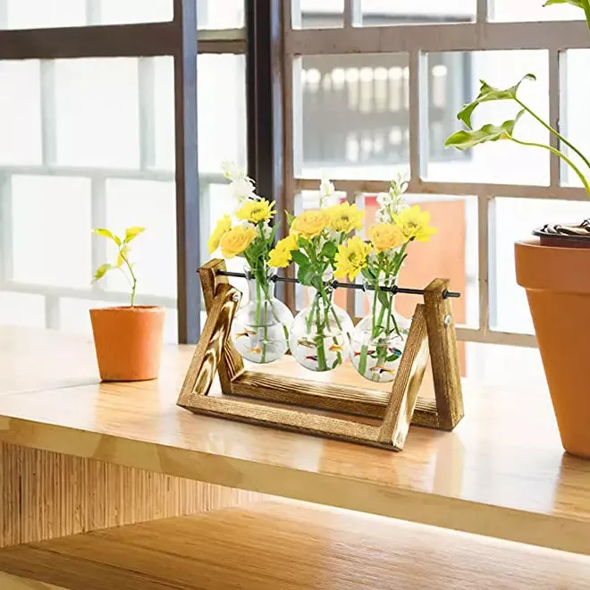 Alchemy 3 Glass Bulb Hydroponic Planter
