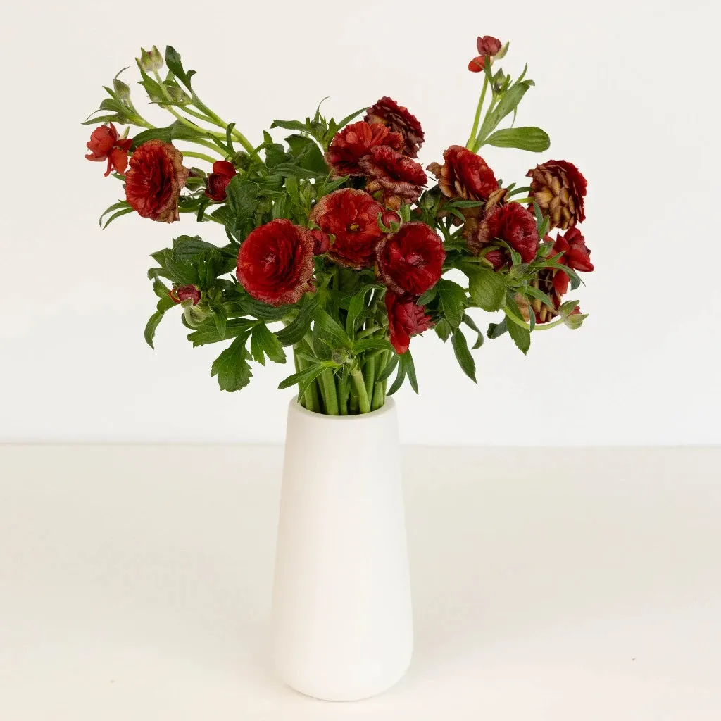 Brick Red Butterfly Ranunculus Flower