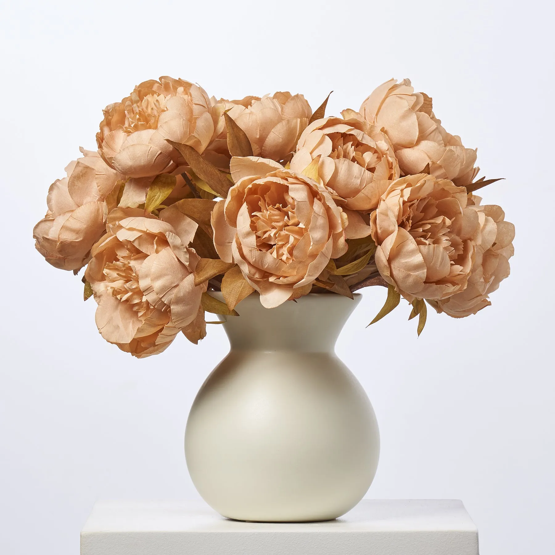 Cafe Au Lait Peonies In Cream Color Rounded Matte Vase Everyday Neutral Floral Centerpiece Arrangement