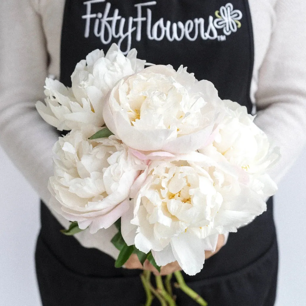 Coconut Cream Peonies For June Delivery