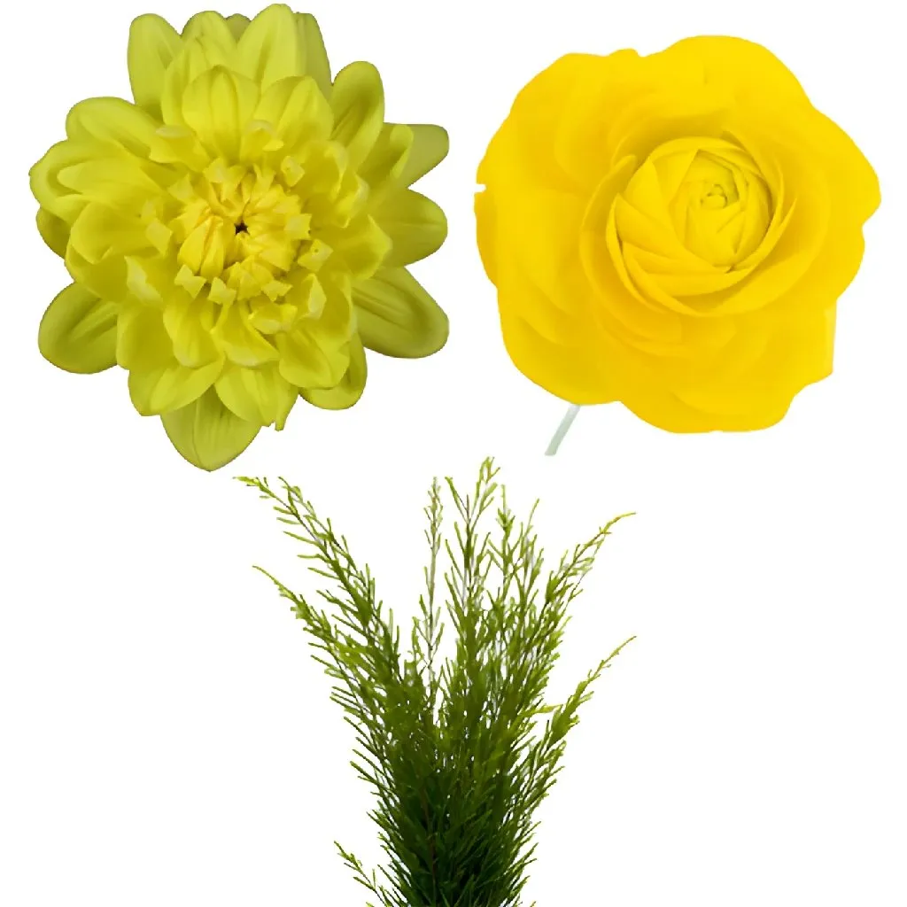 Dahlia and Ranunculus DIY Flower Kit