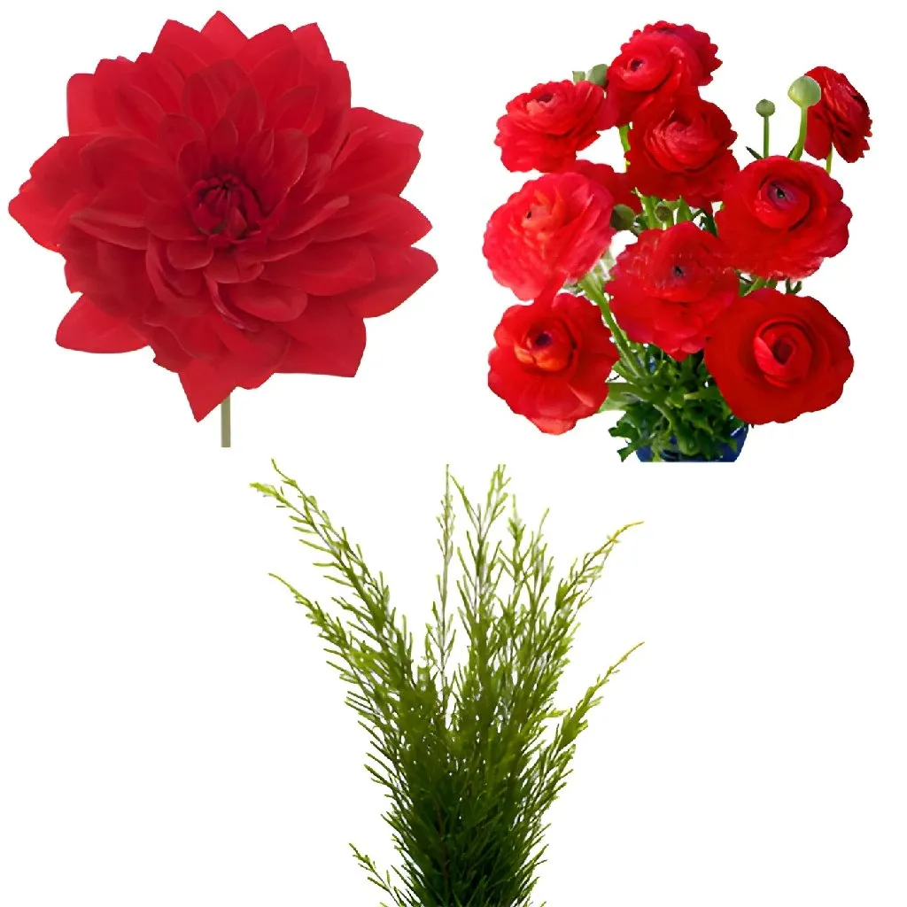 Dahlia and Ranunculus DIY Flower Kit