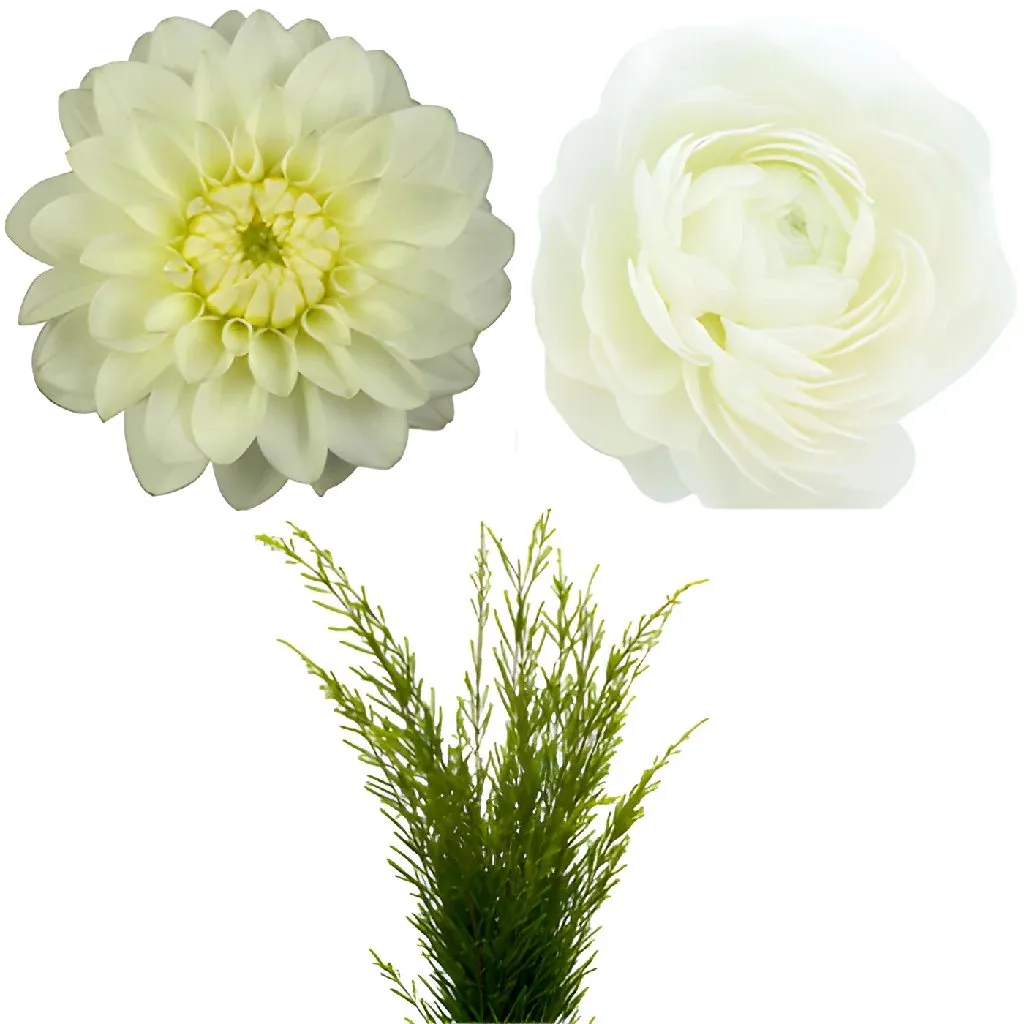 Dahlia and Ranunculus DIY Flower Kit