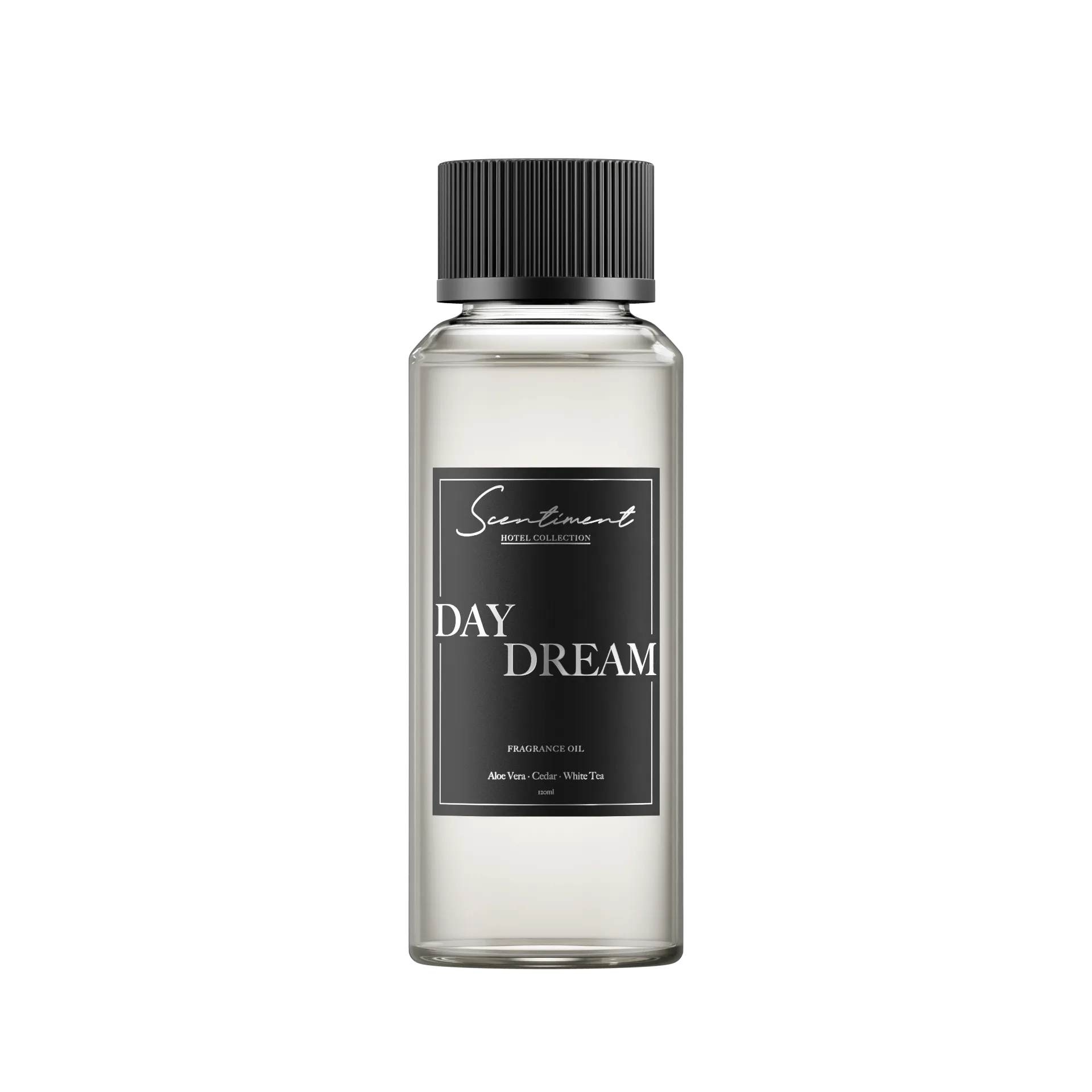 Day Dream