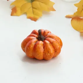 Decorative Miniature Pumpkin