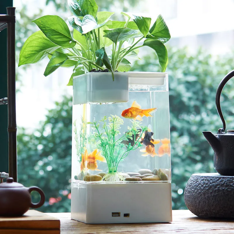 Desktop Acrylic Transparent Fish Tank
