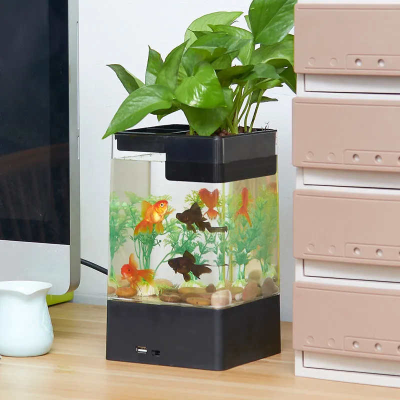 Desktop Acrylic Transparent Fish Tank