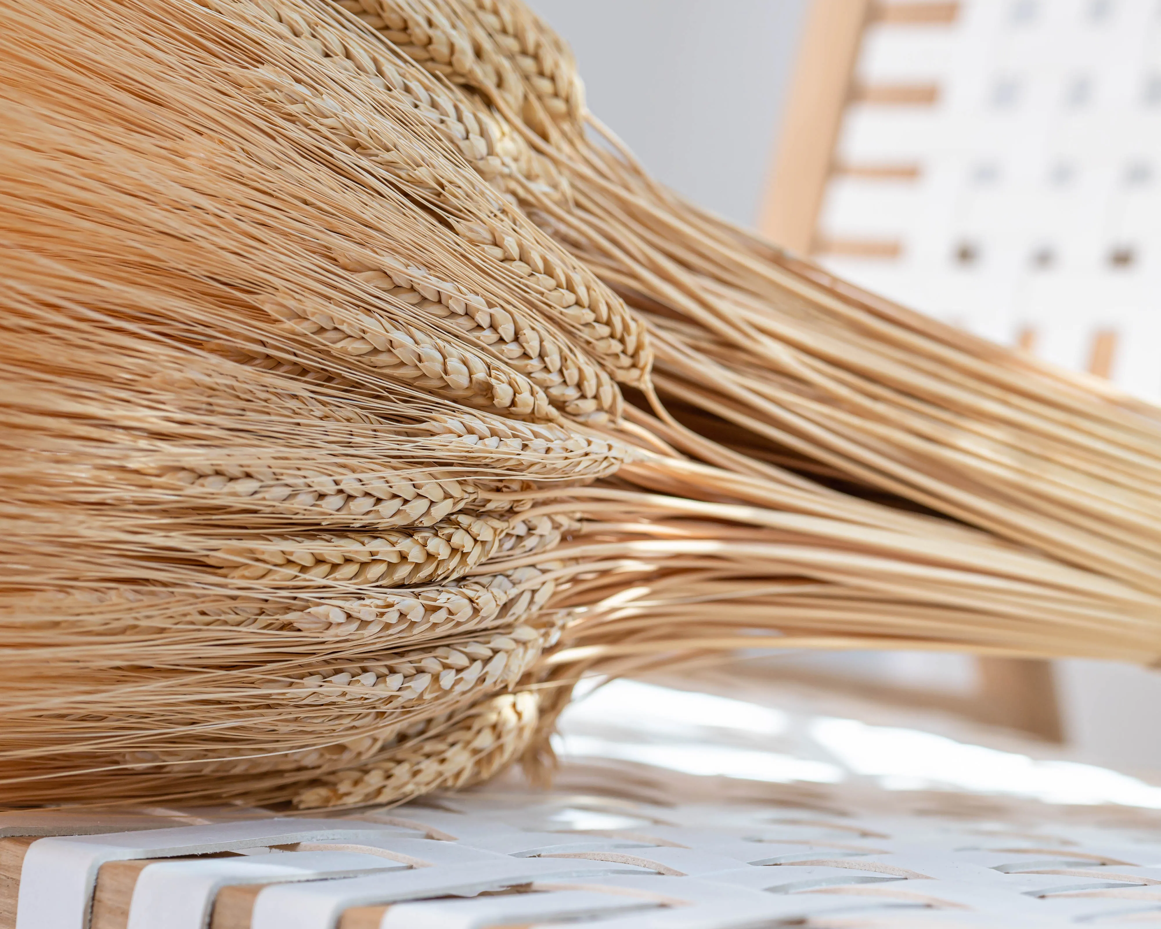 Extra Large Wheat Sheaves - 2LB Bunch