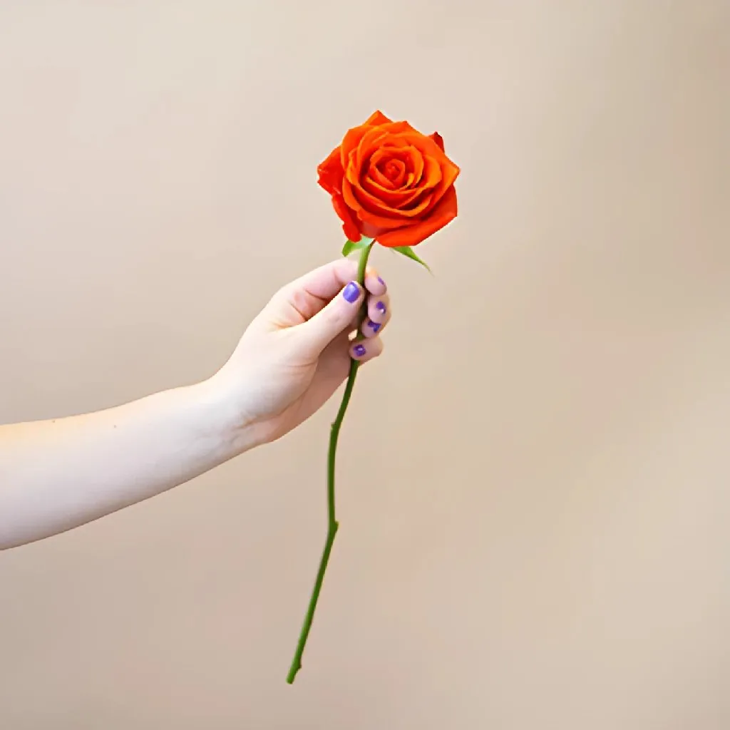 Fire Orange Santana Rose