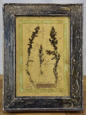 Four French pressed flower frames