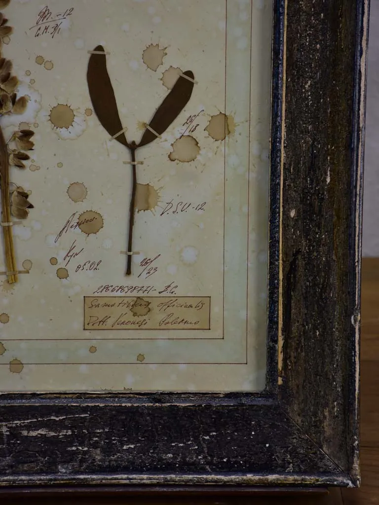 Four French pressed flower frames