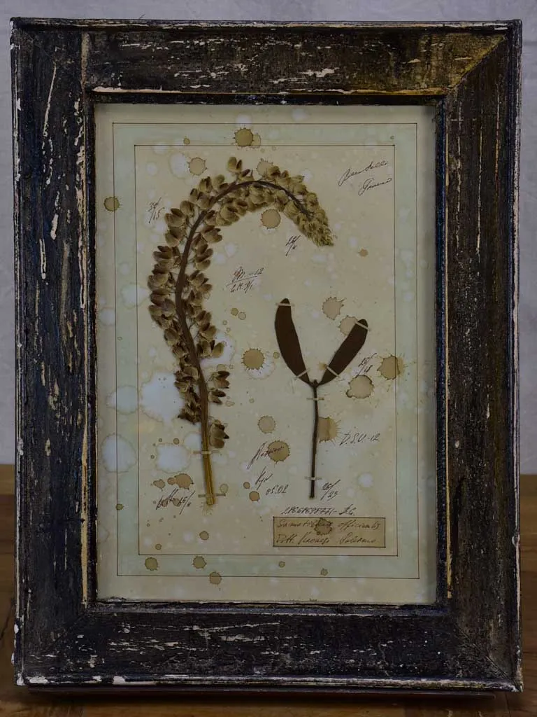Four French pressed flower frames