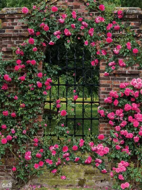 Garden Wall Photographer Backdrop