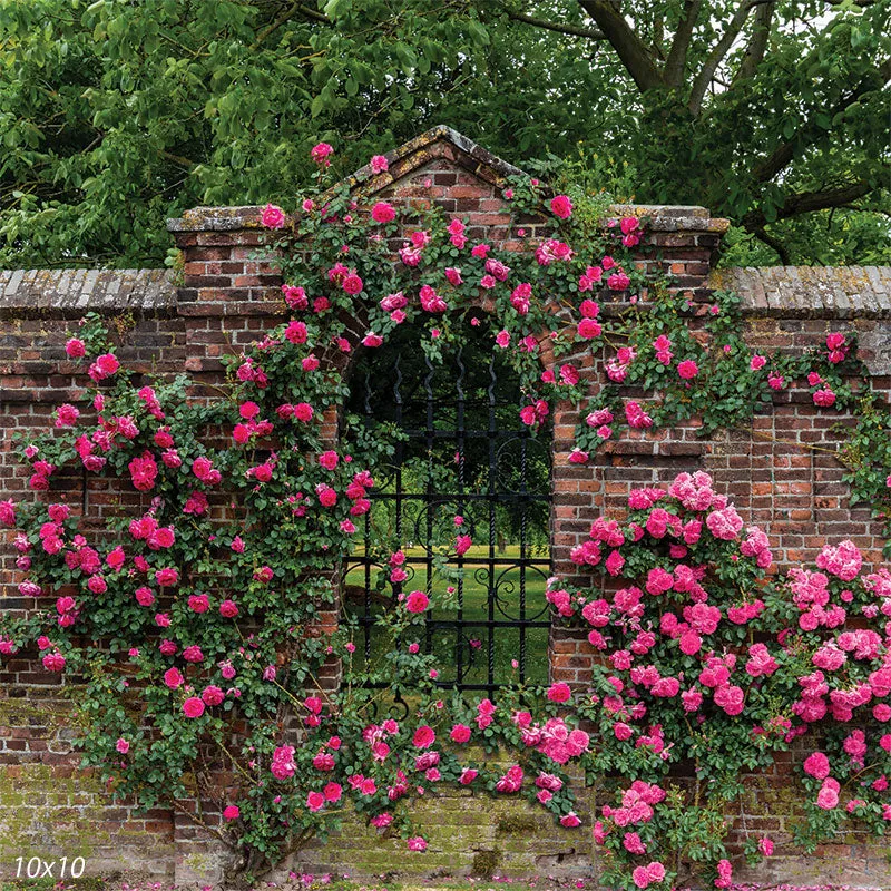 Garden Wall Photographer Backdrop