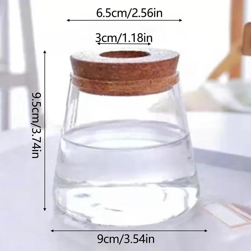 Glass Planting Pot