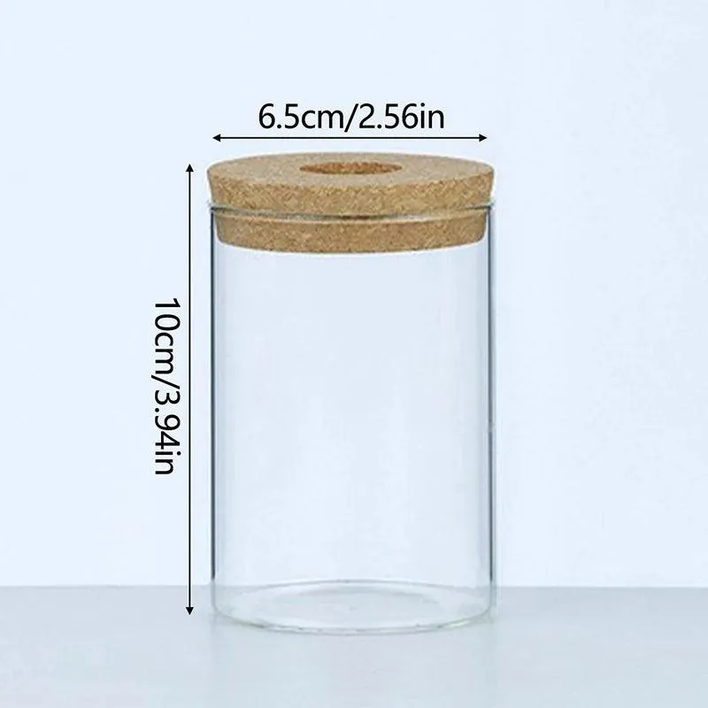 Glass Planting Pot
