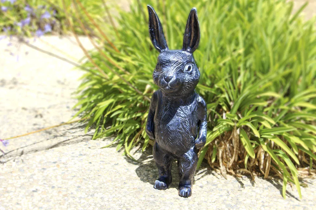 Grandma's Little School Bunny