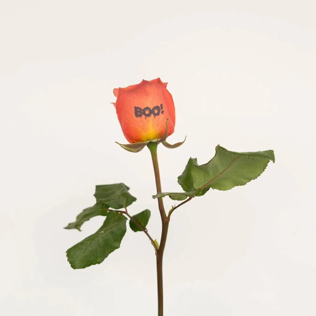 Halloween Boo! Personalized Roses