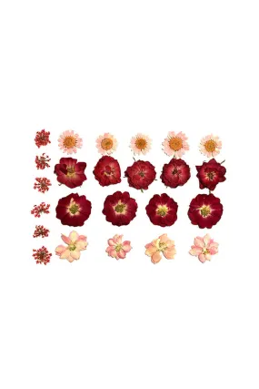 Harvest Moondancer Real Dried Pressed Flower BodiStix