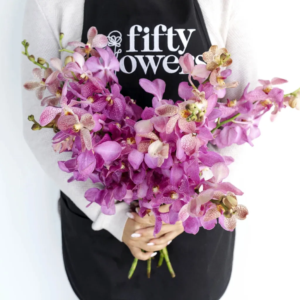 Hot Pink Bicolor Mokara Orchids