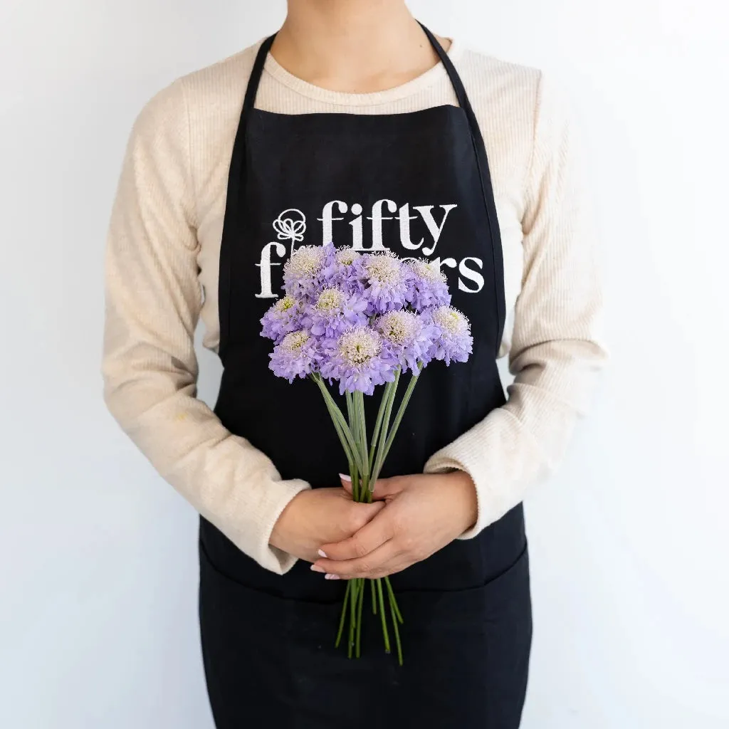 Lavender Blush Scabiosa Flower