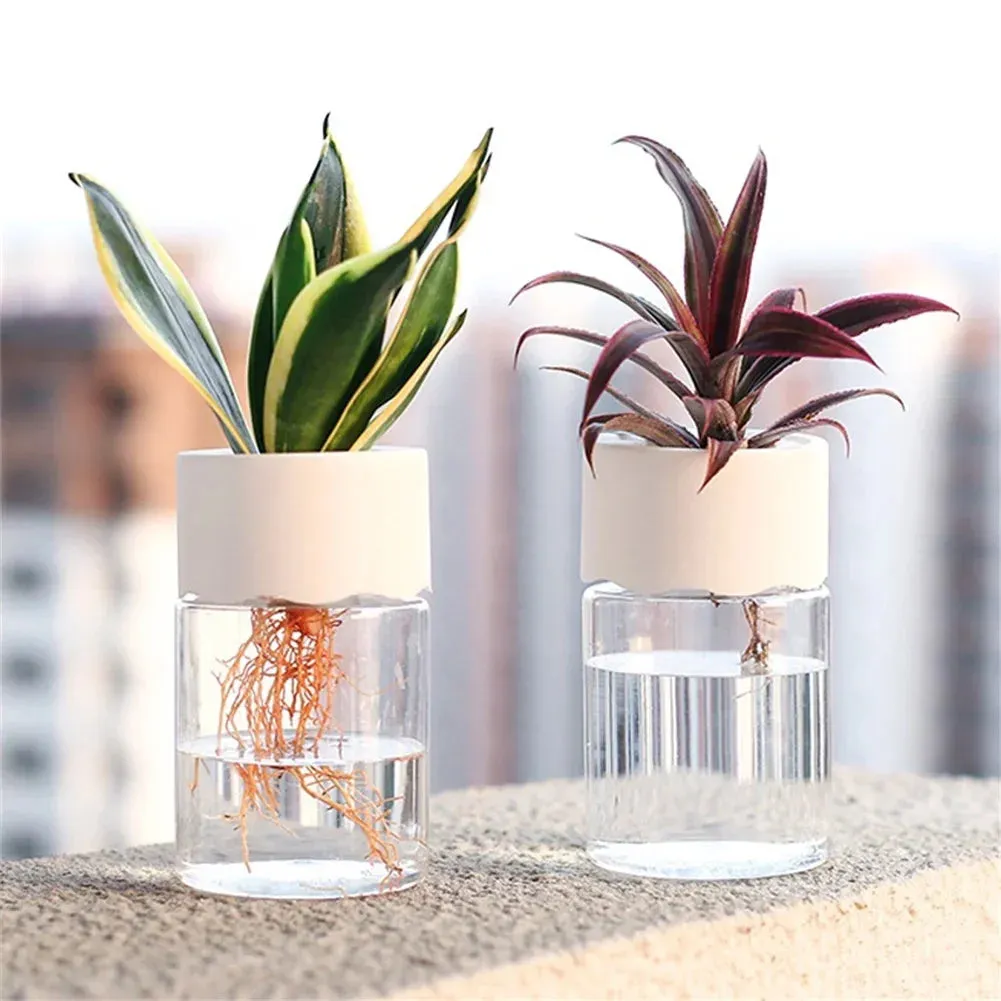 Mini Hydroponic Flower Pot – Transparent Imitation Glass Soilless Vase