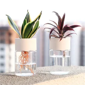 Mini Hydroponic Flower Pot – Transparent Imitation Glass Soilless Vase