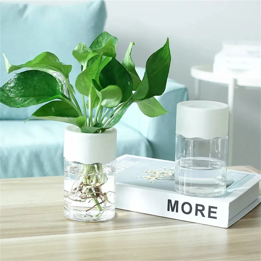 Mini Hydroponic Flower Pot – Transparent Imitation Glass Soilless Vase