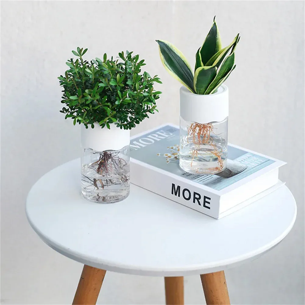 Mini Hydroponic Flower Pot – Transparent Imitation Glass Soilless Vase