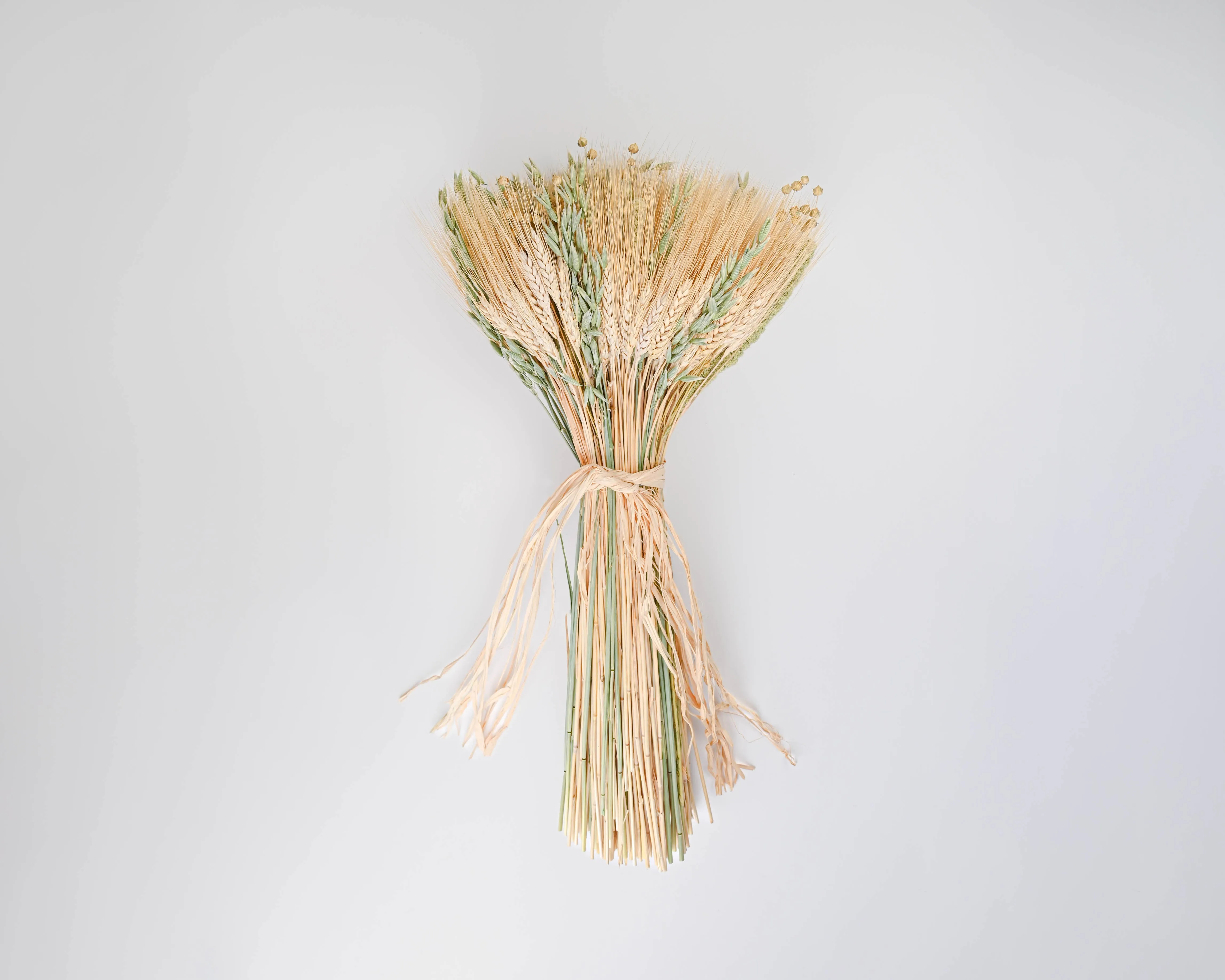 Mixed Grain Wheat Bundle