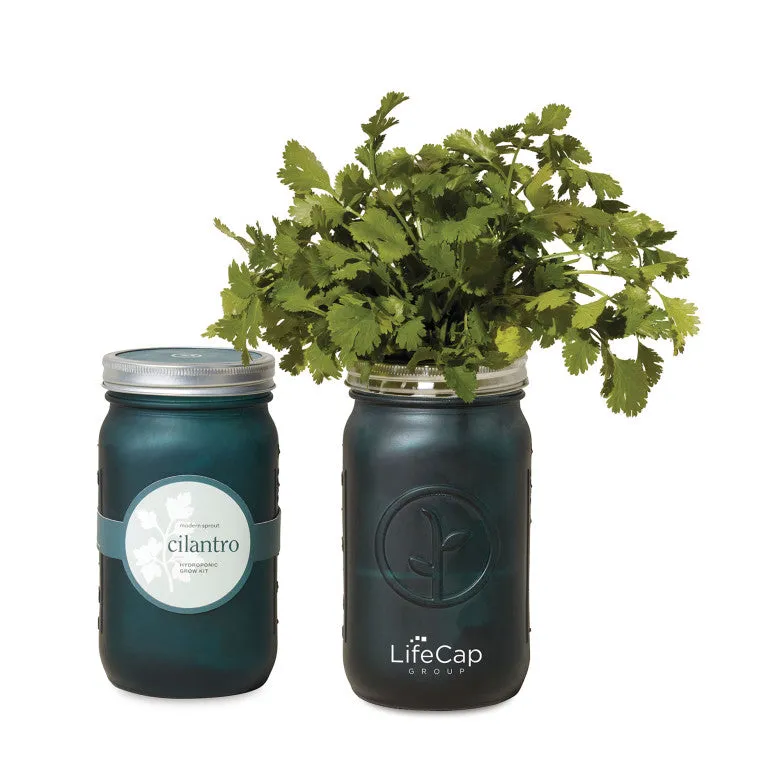 Modern Sprout® Indoor Herb Garden Kit