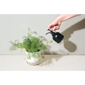 Modern Sprout® Plant Parent Mister