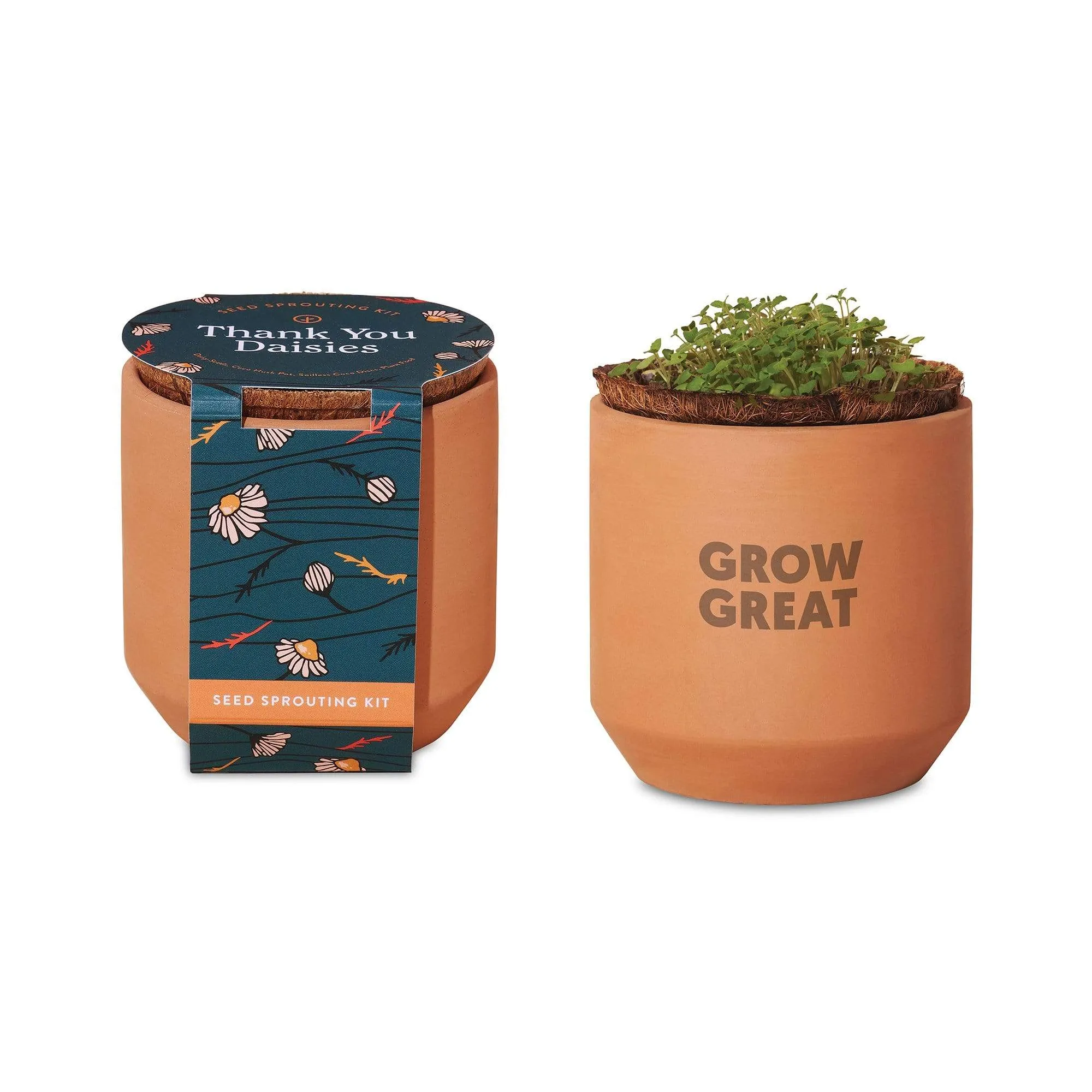 Modern Sprout - Tiny Terracotta Grow Kit