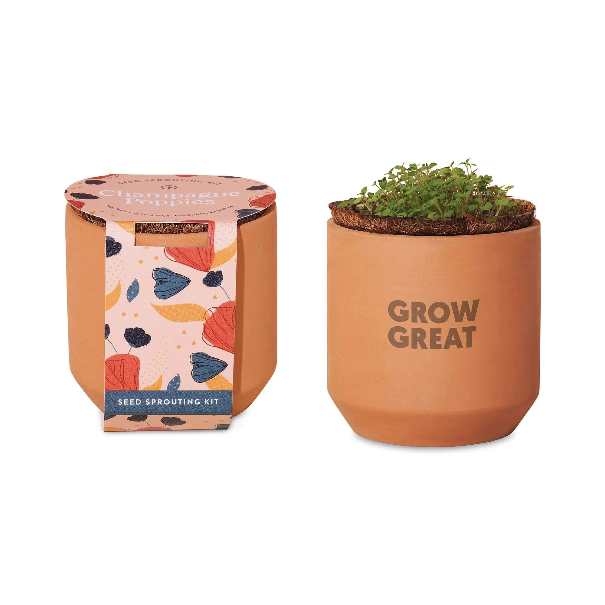 Modern Sprout - Tiny Terracotta Grow Kit
