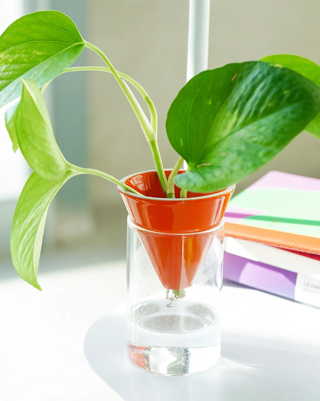 Orange Cone Hydroponic Planter