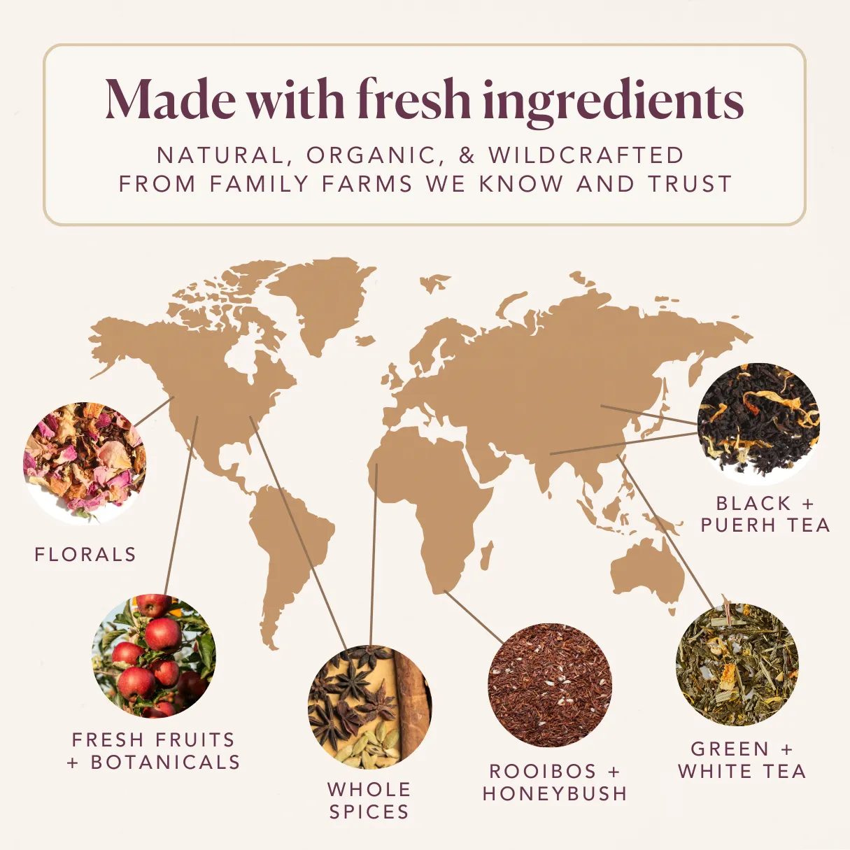Plum Deluxe Tea Coconut A La Creme Black Tea