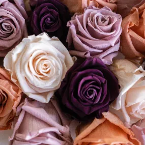 Preserved Vintage Mauve Rose Mix