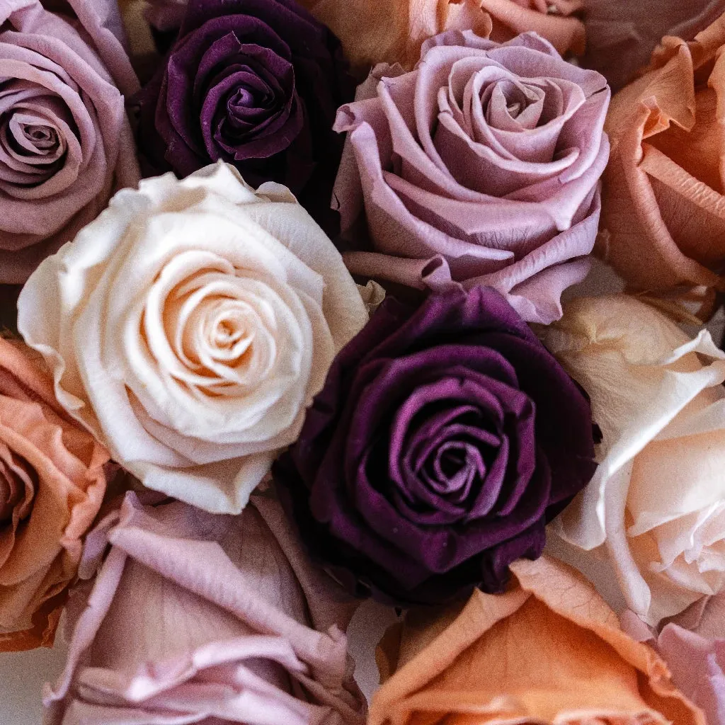 Preserved Vintage Mauve Rose Mix
