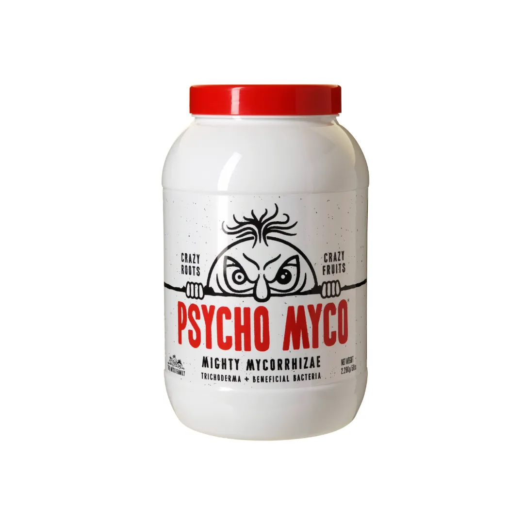 Psycho Myco - Mycorrhizae