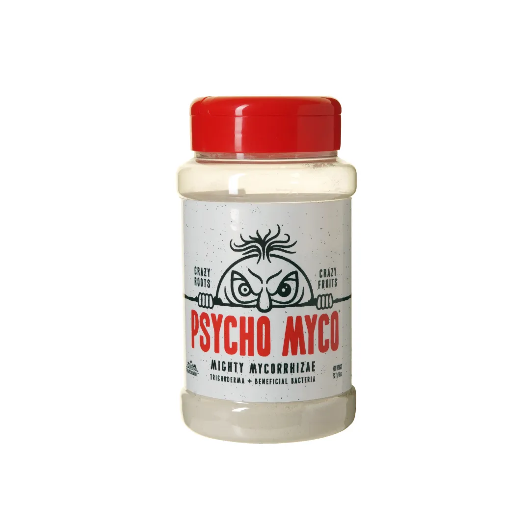 Psycho Myco - Mycorrhizae