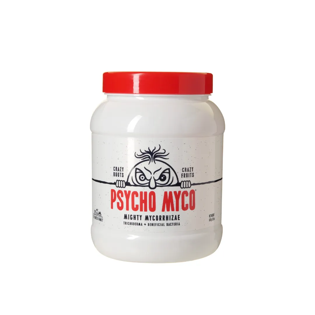 Psycho Myco - Mycorrhizae