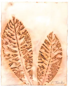 "Loquat," original botanical leaf print, 10" x 8"