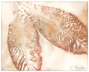 "Loquat," original botanical leaf print, 8" x 10"