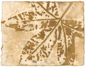 "Sycamore," original botanical leaf print, 8" x 10"