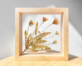 Real wild yellow pressed flower and plant artwork with wooden square frame for Nature lover gift